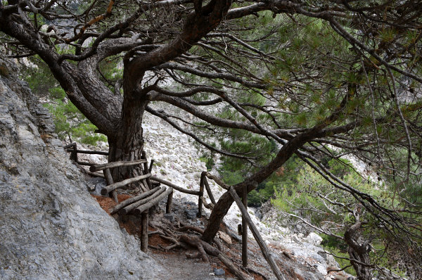 In der Rouwas-Schlucht In der Rouwas-Schlucht