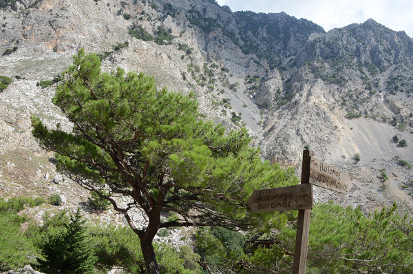 In der Rouwas-Schlucht In der Rouwas-Schlucht