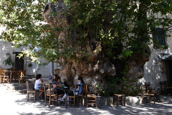 Bild: In Ano Viannos Bild: In Ano Viannos