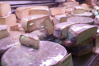 Bild: Leckerer Käse Bild: Leckerer Käse