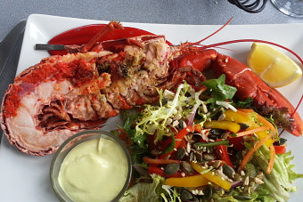 Bild: Der 1/2 Lobster Bild: Der 1/2 Lobster