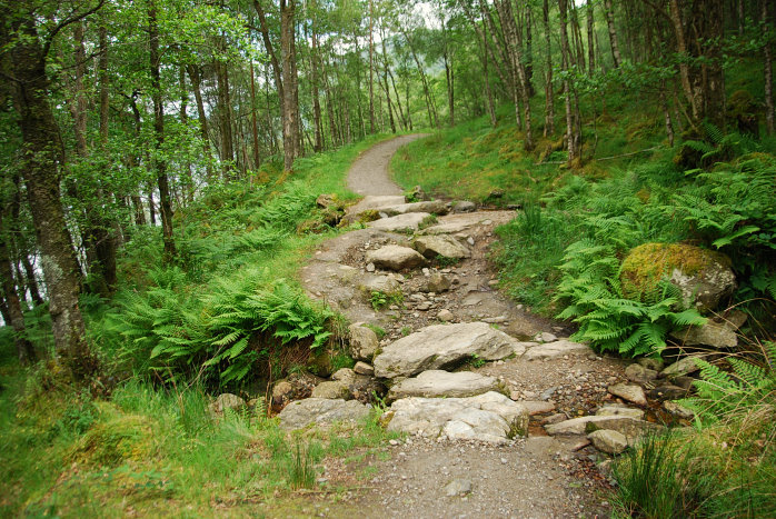 Noch ist der Weg einfach Noch ist der Weg einfach