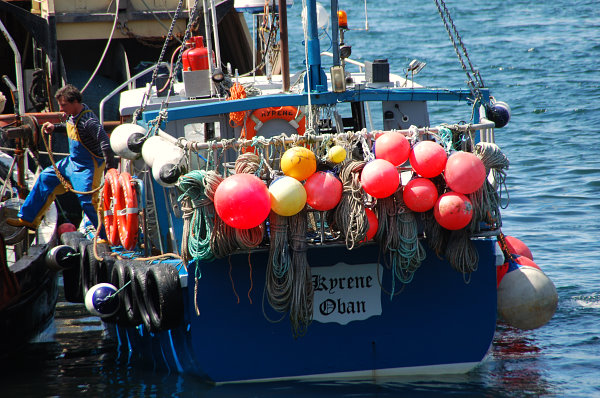 Am Hafen ist immer was los Am Hafen ist immer was los