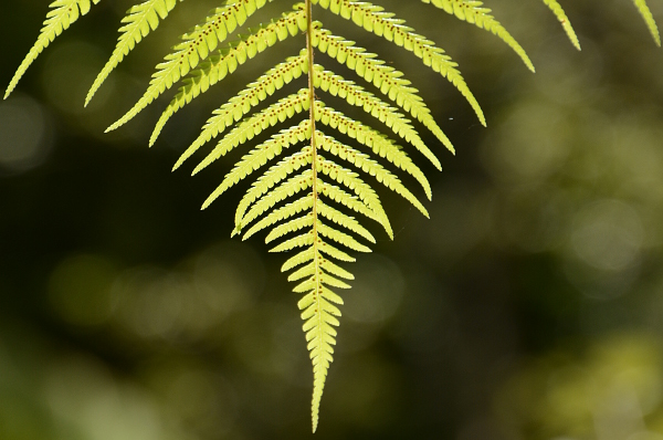 Diesmal war Elke das Diesmal war Elke das