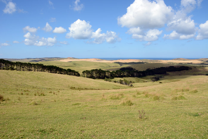 Meer und Sand und Bäume. Meer und Sand und Bäume.