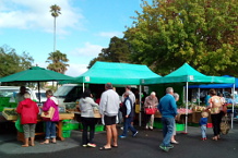 Bild: Auf dem Farmersmarket