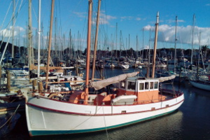 Bild: Der Hafen von Whangarei Bild: Der Hafen von Whangarei