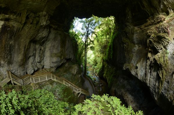 Von der Natural Bridge in den Wald
