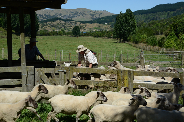 Der Farmer und seine Frau bei der Arbeit Der Farmer und seine Frau bei der Arbeit