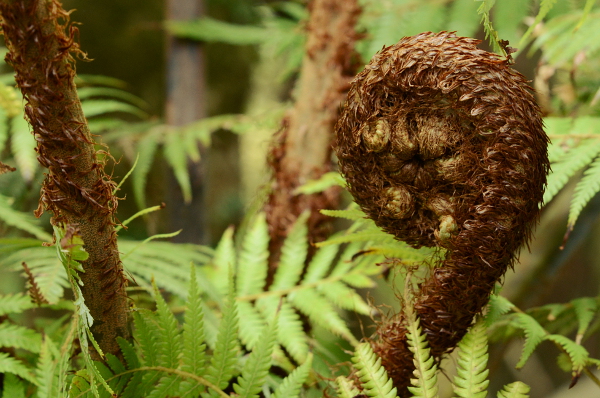 Wiedermal mein Leiblingsmotiv Wiedermal mein Leiblingsmotiv