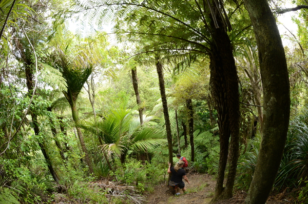 Da gehts aber ganz schön steil runter Da gehts aber ganz schön steil runter