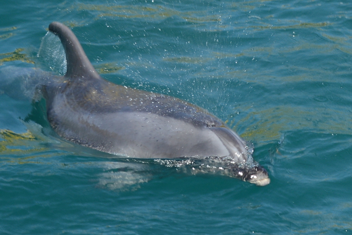 einfach klasse einfach klasse