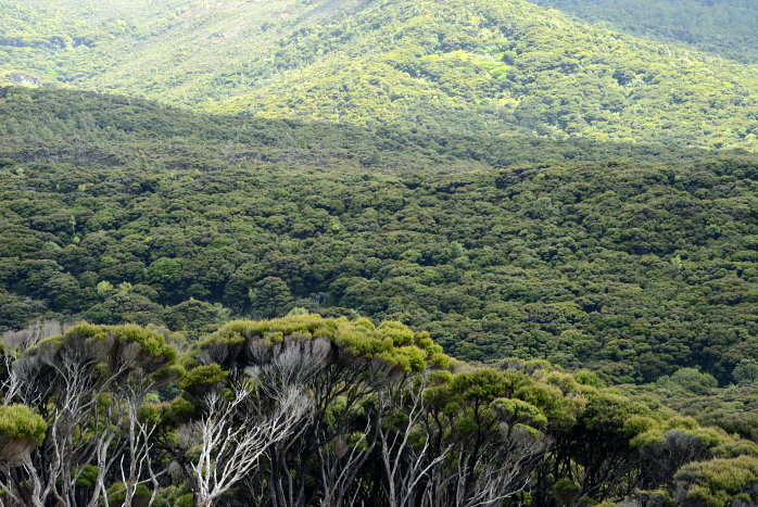 Einfach unglaublich. Je nach dem wie das Licht drauf fällt ändert sich die Stimmung Einfach unglaublich. Je nach dem wie das Licht drauf fällt ändert sich die Stimmung