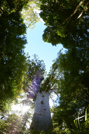 Bild: Da fühlt man sich ganz klein Bild: Da fühlt man sich ganz klein
