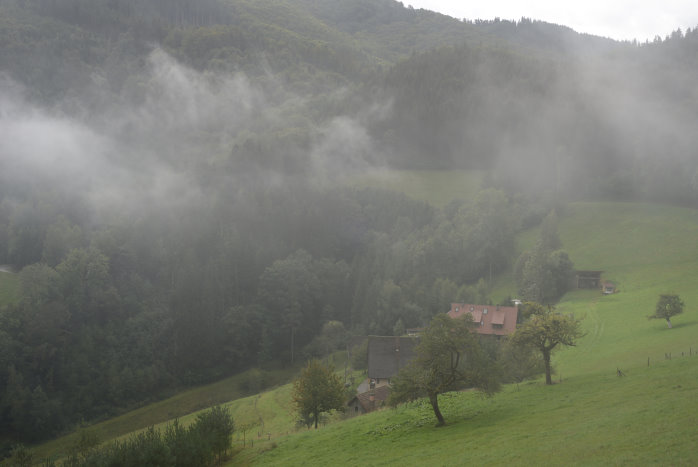 Der Nebel lichtet sich Der Nebel lichtet sich
