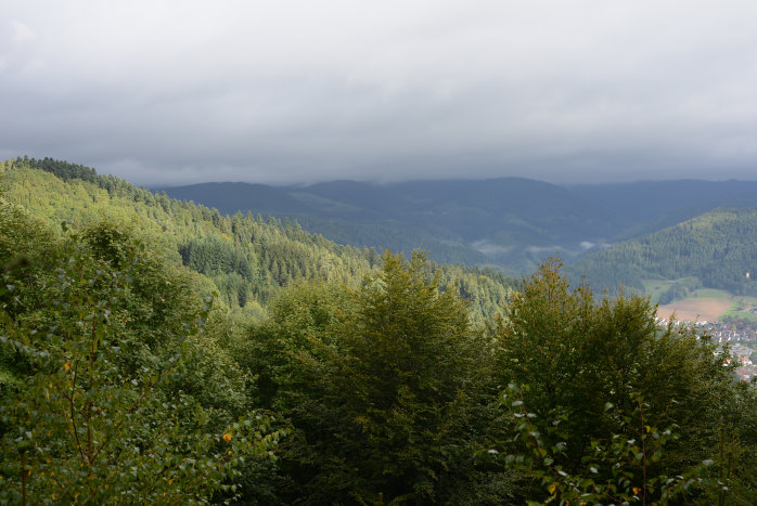 Der Nebel lichtet sich Der Nebel lichtet sich