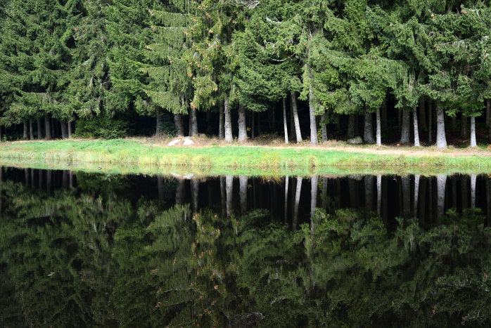 Spiegelung in einem Dorfweiher Spiegelung in einem Dorfweiher