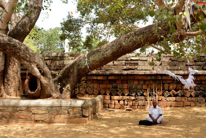 Meditation Meditation