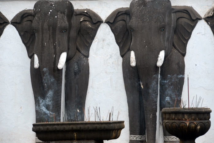 Räucherstäbchen an Elefant Räucherstäbchen an Elefant