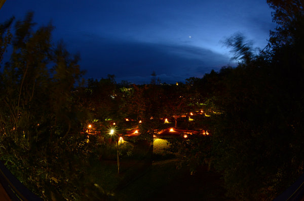 Blick vom Balkon auf den nächtlichen Garten Blick vom Balkon auf den nächtlichen Garten