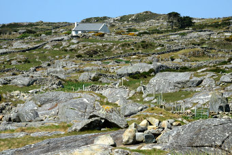 Bild: Typische Landschaft für diese Gegend Bild: Typische Landschaft für diese Gegend