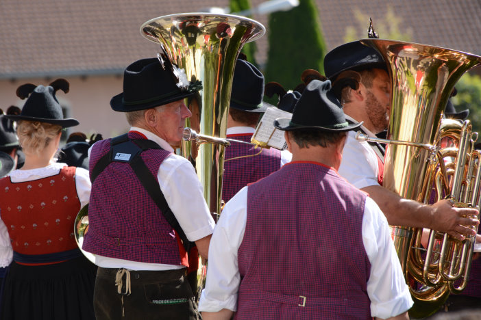 Die Musi kimmt Die Musi kimmt