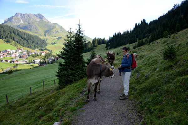 Vorbei an wilden Tieren Vorbei an wilden Tieren
