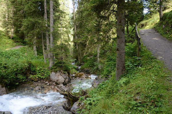Ein Zufluss zum Lech Ein Zufluss zum Lech