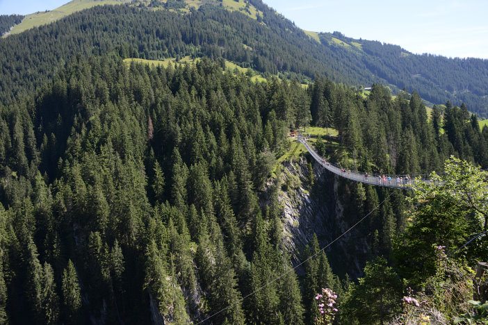 Die Holzgauer Hängebrücke Die Holzgauer Hängebrücke