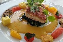 Bild: Mein Red Snapper Bild: Mein Red Snapper