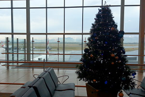 Bild: Christbaum am Flughafen Bild: Christbaum am Flughafen