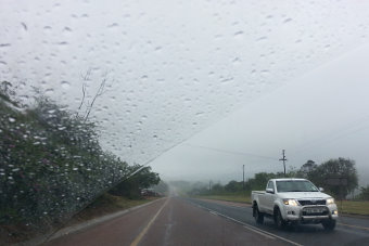 Bild: Regen und kalt Bild: Regen und kalt