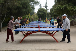 Bild: Tischtennis im Park Bild: Tischtennis im Park