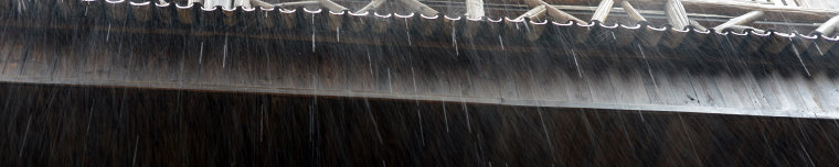 Bild: Mistwetter Bild: Mistwetter