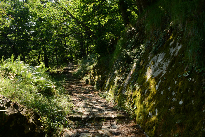 Am Anfang ist der Weg noch sehr einfach Am Anfang ist der Weg noch sehr einfach