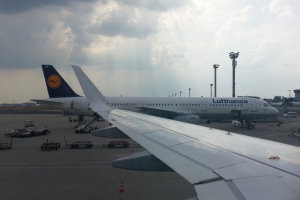 Bild: Der Mausflieger ist direkt neben uns Bild: Der Mausflieger ist direkt neben uns