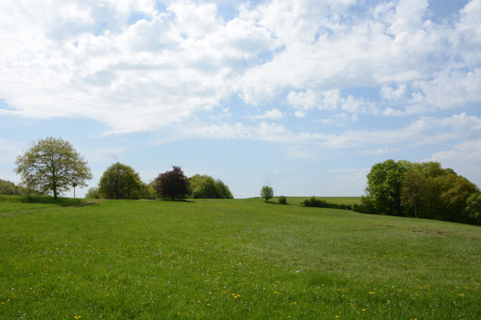 Sieht aus wie ein Windows-Hintergrundbild
