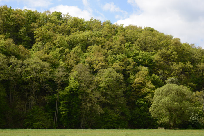 Tolle Frühlingsfarben