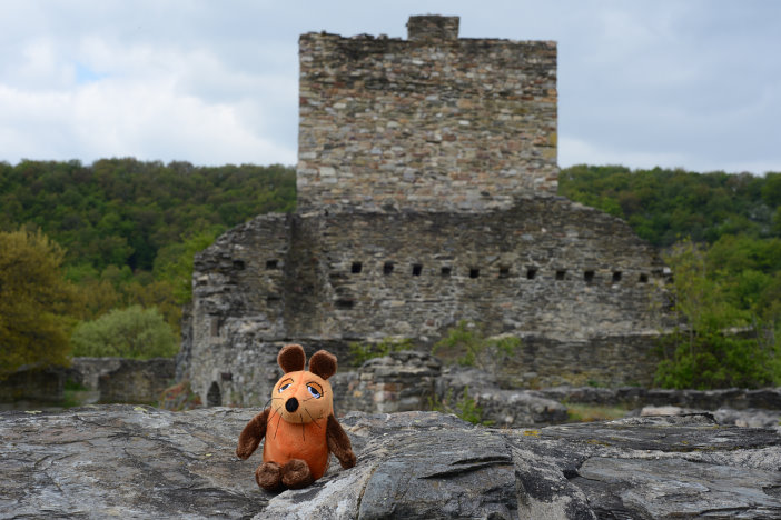 Die Maus auf der Schmidtburg