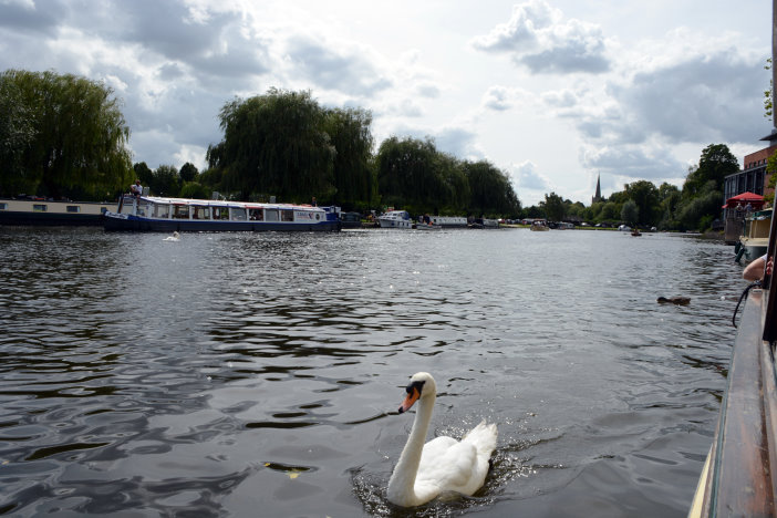 Bootsfahrt auf dem Avon Bootsfahrt auf dem Avon