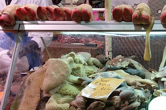 Bild: sonstige 'Leckereien' Bild: sonstige 'Leckereien'