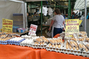 Bild: Draussen im uncovert Market ist es gefälliger Bild: Draussen im uncovert Market ist es gefälliger