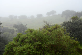 Bild: Die Landschaft versinkt im Nebel Bild: Die Landschaft versinkt im Nebel