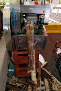Bild: Die Zuckerrohrpresse Bild: Die Zuckerrohrpresse