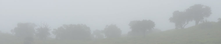 Bild: Nebel auf 1500m Bild: Nebel auf 1500m
