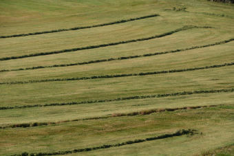 Bild: Landschaft bei Menzenschwand Bild: Landschaft bei Menzenschwand