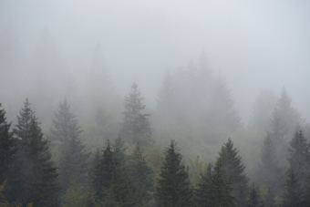 Bild: Wanderwetter :-) Bild: Wanderwetter :-)