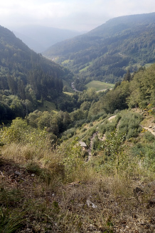 Bild: Zu den Wasserfällen auf dem Wasserfallsteig Bild: Zu den Wasserfällen auf dem Wasserfallsteig