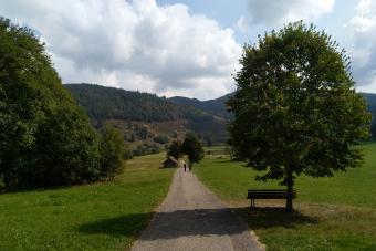Bild: Auf dem Rückweg Bild: Auf dem Rückweg