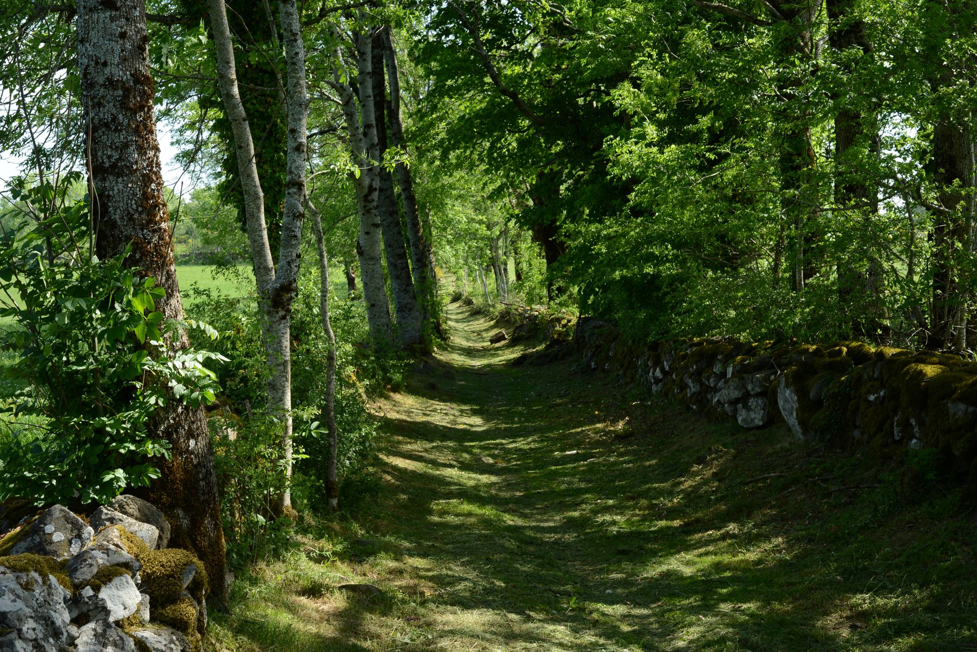 Schöner Weg um Salers herum Schöner Weg um Salers herum